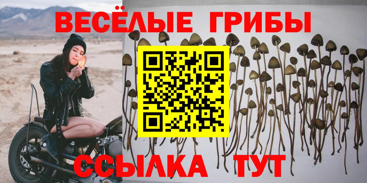 Сердобск  Галлюциногенные грибы мухоморы  Вход с VPN  Псилоцибиновые грибы ЛСД 